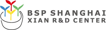 BSP Shanghai Xian R&D Center logo