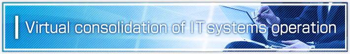 Virtual consolidation of IT systems operation