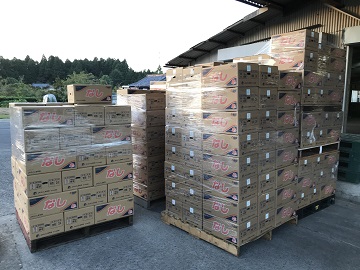 福島県南相馬市、協力農家様の梨園を訪問し、共同集荷場の見学を実施