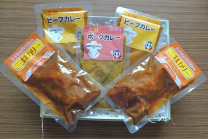 三陸鉄道のカレーセット(東日本大震災の復興支援の一環として