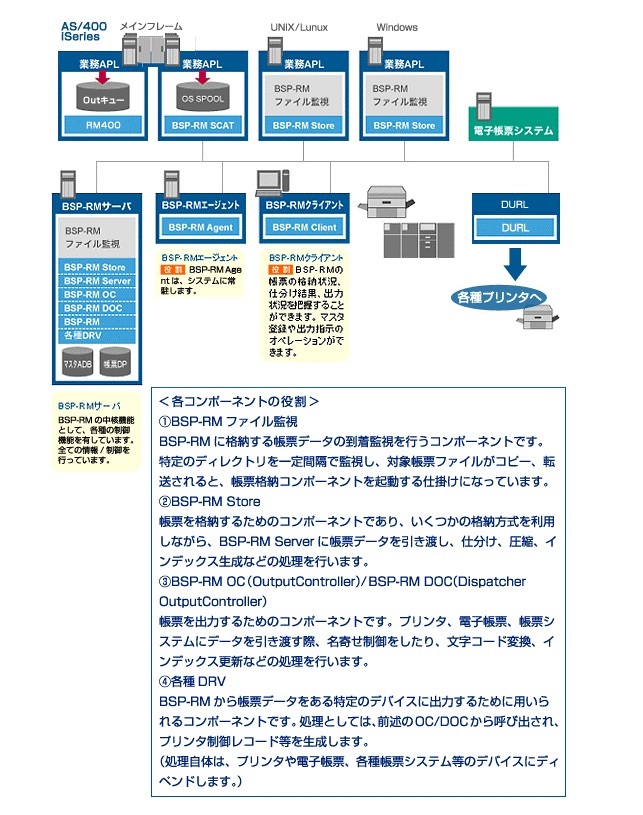 BSP-RM システム構成