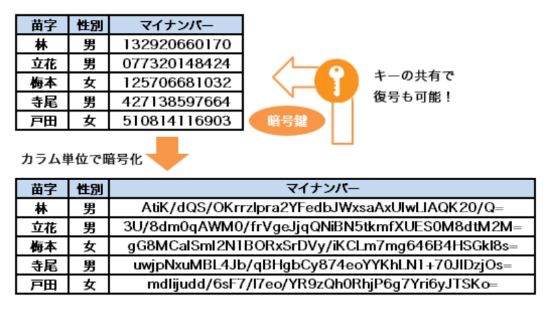 カラム単位の暗号化・復号