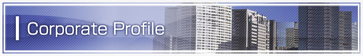 Corporate Profile 